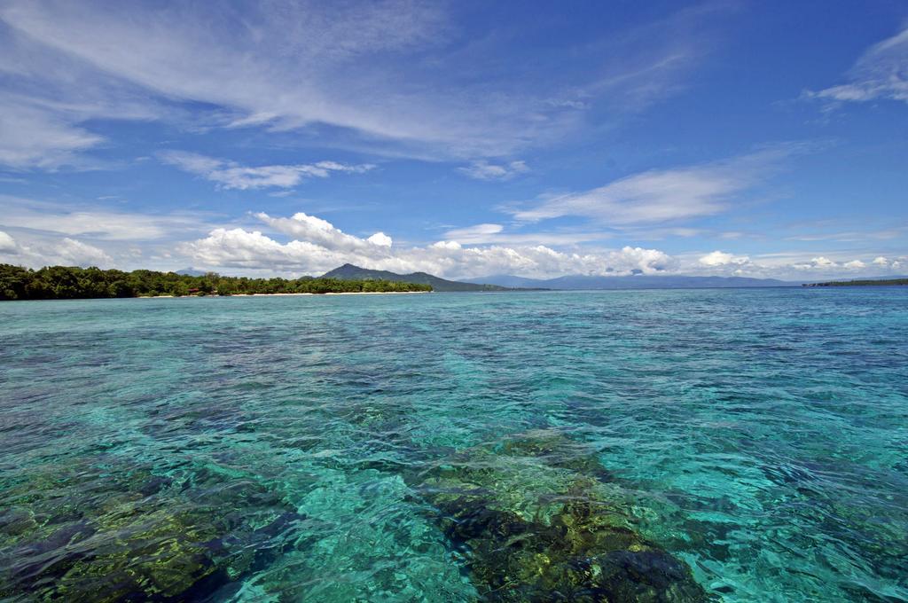 Bunaken Divers Sea Breeze Resort Eksteriør bilde